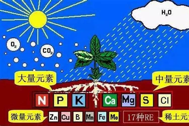 小麦抽穗还能少撒些肥吗？
