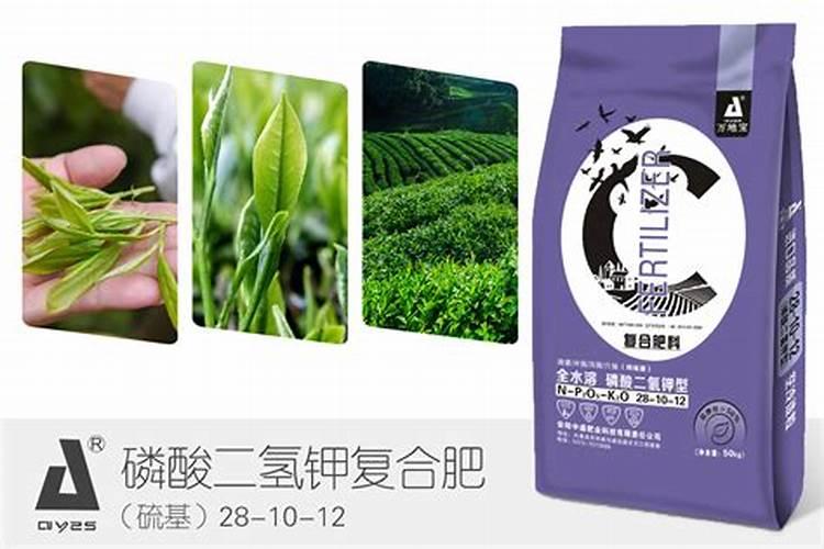 棉花打尖后用什么肥料比较好