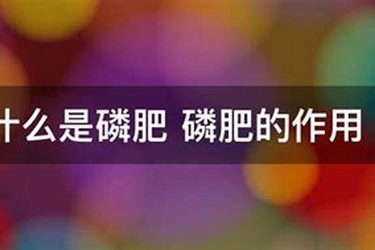 菌根怎么造句