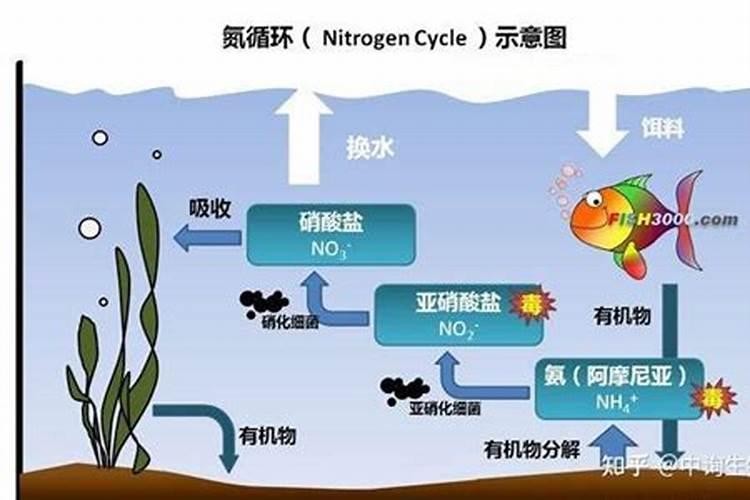 化肥尿素的保质期一般是多长时间