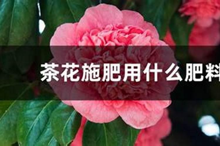 硫酸钾复合肥有什么用 硫酸钾复合肥适用作物