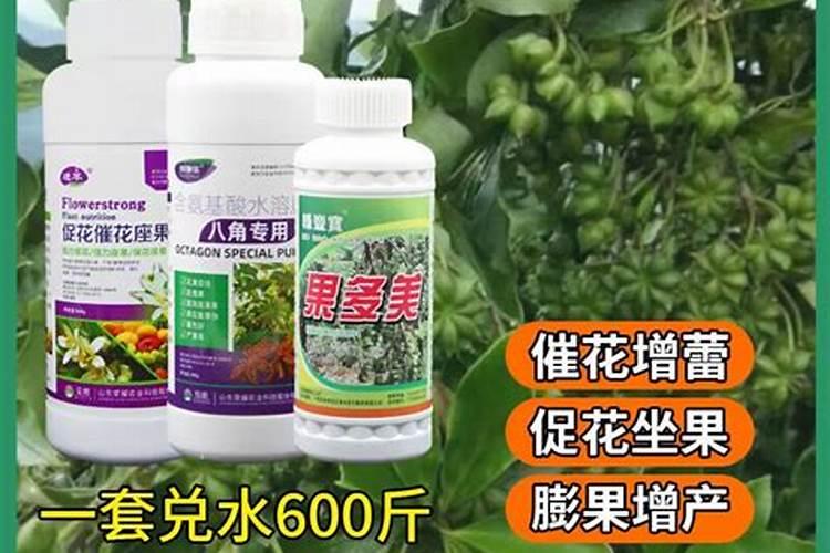 怎样正确对八角树进行保叶
