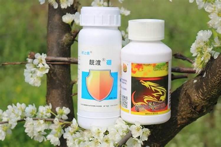 果树什么时候打磷酸二氢钾