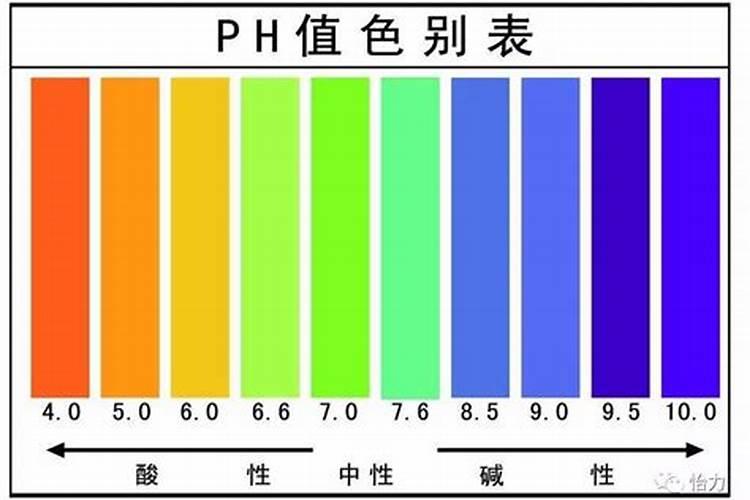 钙肥有哪些