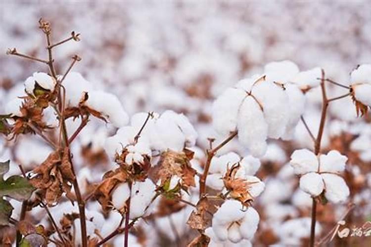 山东百科丰肥业有限公司企业简介