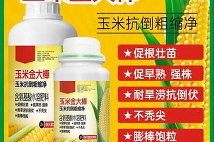 玉米几个叶喷叶面肥