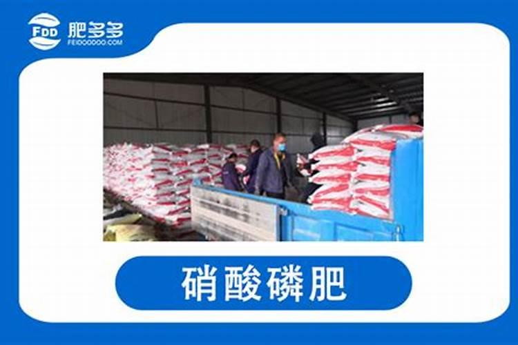 绣球花在什么时候浇水比较好