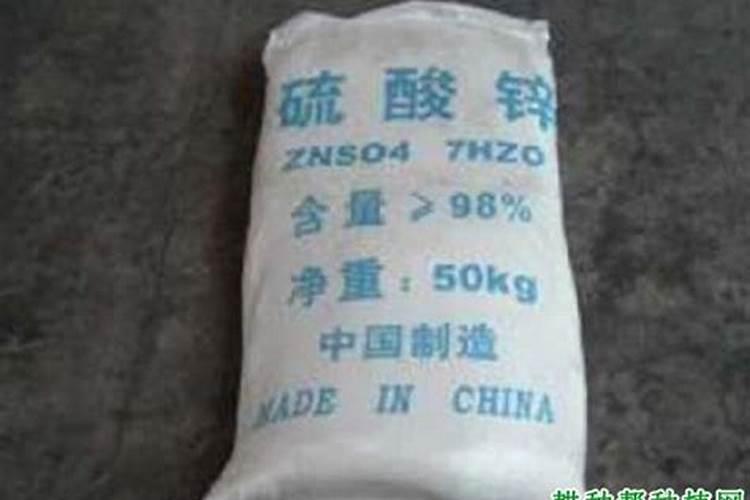 自己种的黄瓜什么时候能施肥？