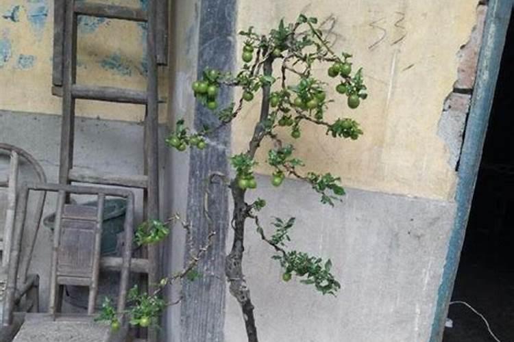 一亩地用多少复合肥