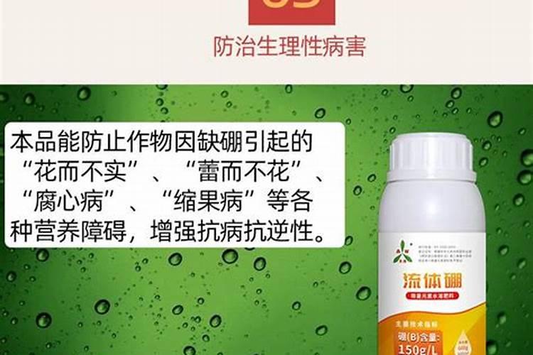 苹果树秋施什么肥怎么施？