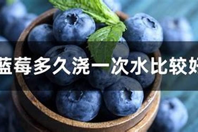 蓝莓施肥时间和方法是什么