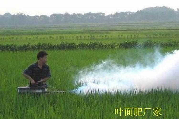 喹啉铜能不能喝氨基酸的叶面肥混打大棚里的番茄？