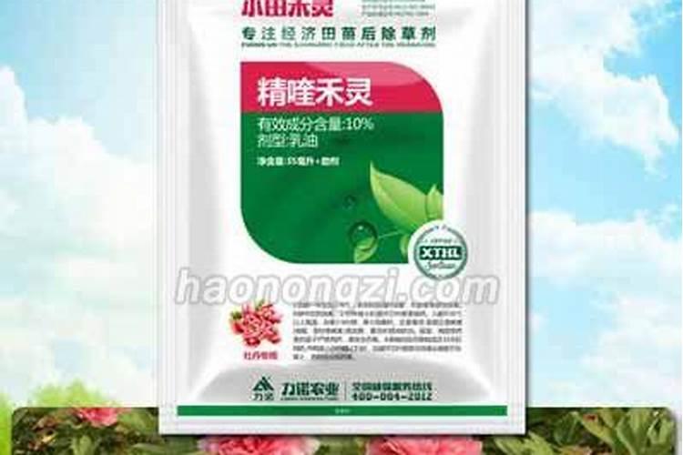 牡丹施肥用什么肥料