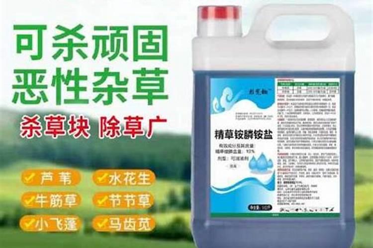 牡丹的肥料有哪几种？
