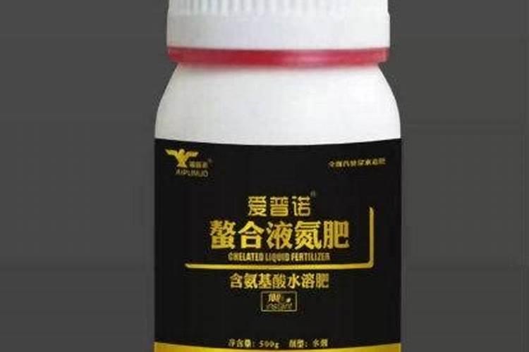 哈密瓜露天种植技术有哪些？
