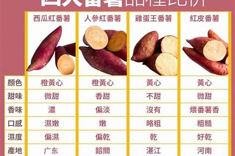 番薯怎么种