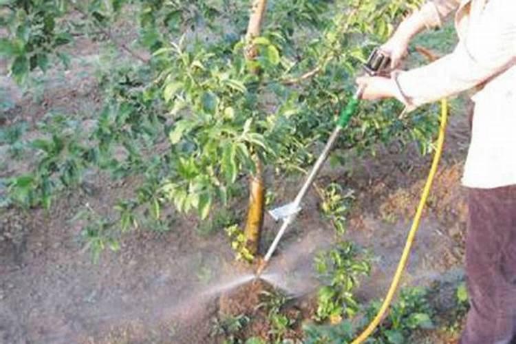 植物组织培养基的组成成分有哪几种类型？