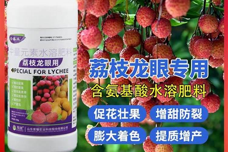 龙眼开花后怎么养 龙眼开花后如何养殖