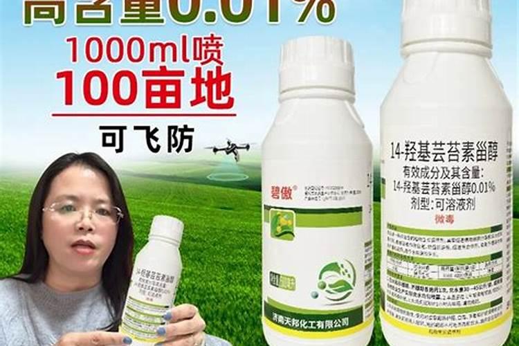 水溶肥是什么肥料
