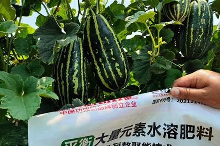 国内那家的腐殖酸肥料效果好