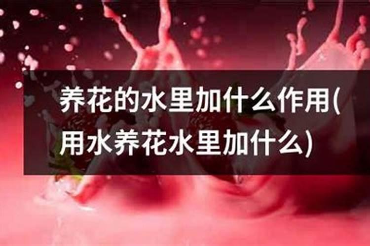 花插水里怎样活得久插在水里的花怎么更久