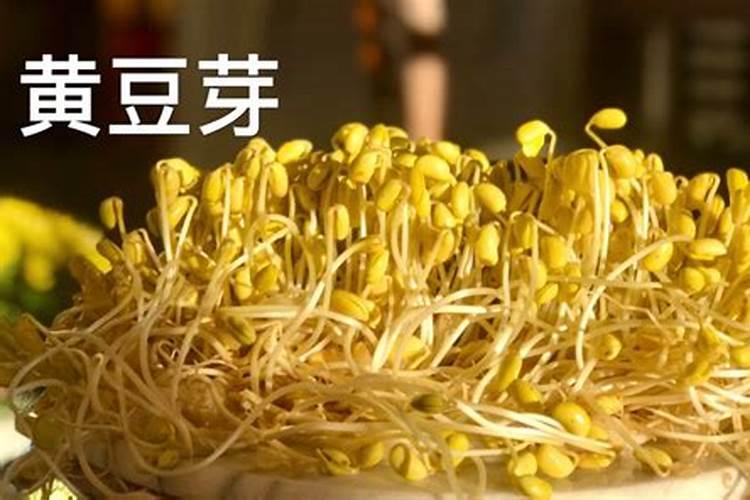 玉缀浇水多久叶片饱满 “浇水时间适宜,让玉缀叶片饱满”