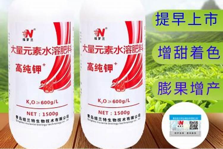 14一羟基芸苔素甾醇会徒长吗