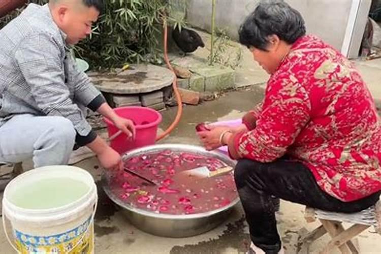 怎样种植萝卜才能使萝卜更大