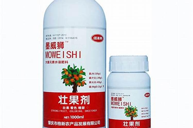 柑橘树什么时候追壮果肥(挂果柑橘施肥最佳时候)