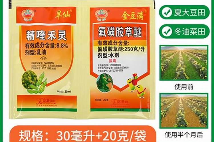 小麦叶黄是怎么回事