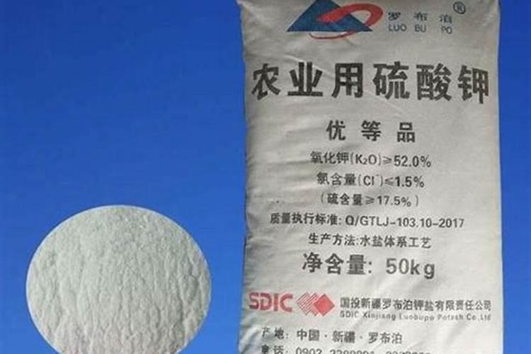 山东美高国际化工有限公司怎么样？