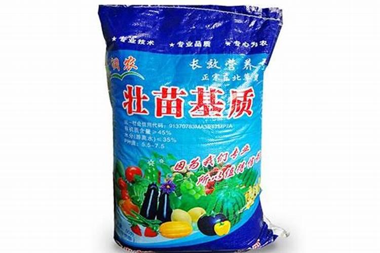 蚯蚓种苗哪里购买