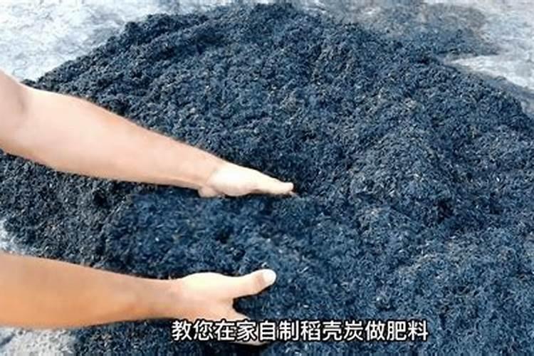 水稻壳能做有机肥辅料吗