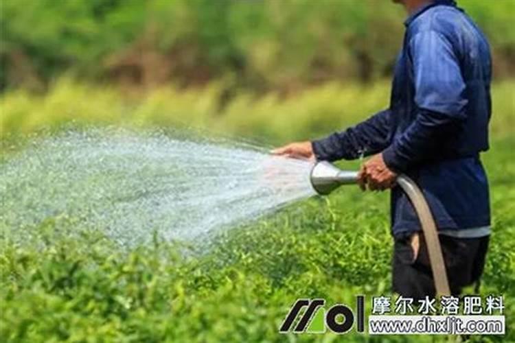 蔬菜如何施肥？从苗开始到成熟``大概要怎么做？