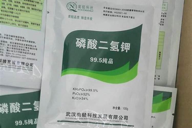 生根肥料有哪些