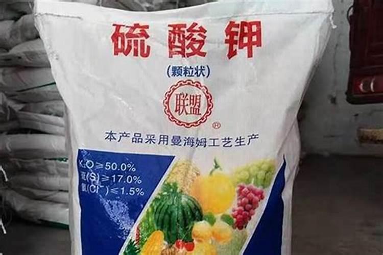 黄瓜什么时候可以打亚磷酸钾？