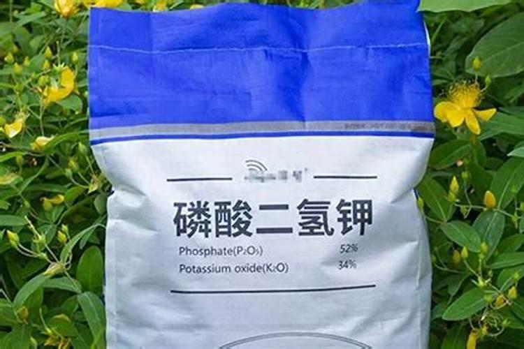 磷酸二氢钾可以给蔬菜施肥吗