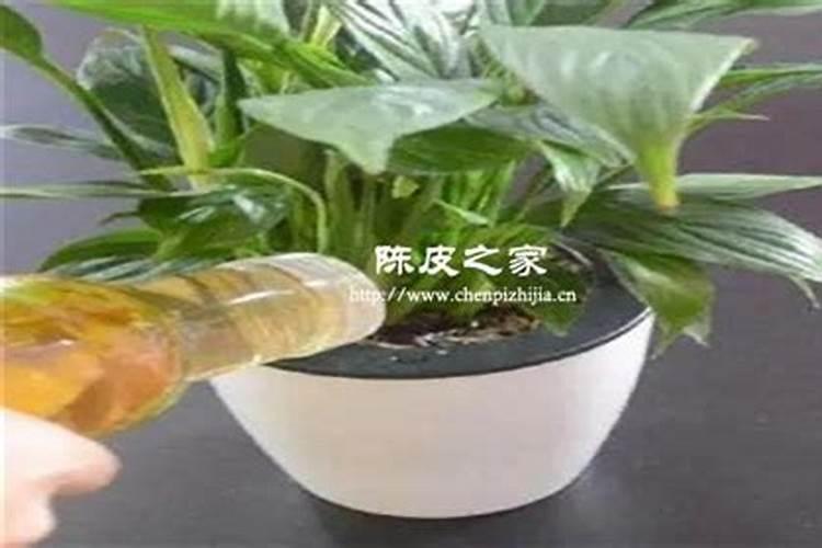 磷钾肥怎么制作