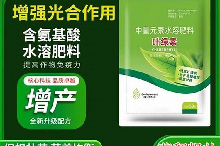 发财树枯萎了,而且长出很多棕色毛毛的东西,并且传染到其他花盆去了,好...