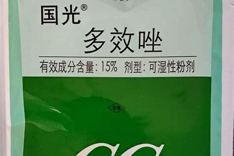 芒果控梢多久能催花 叶面控梢有三个阶段
