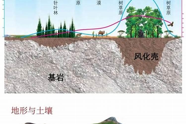 有机质、腐殖质、腐殖酸之间有什么区别啊？