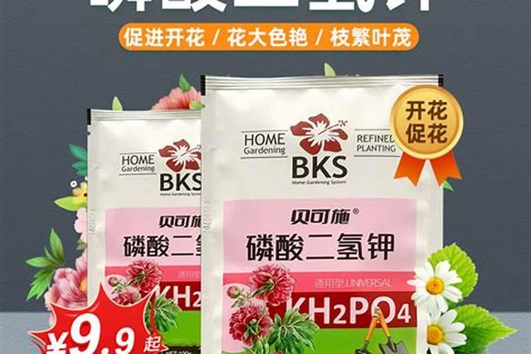 芹菜施什么肥长得好