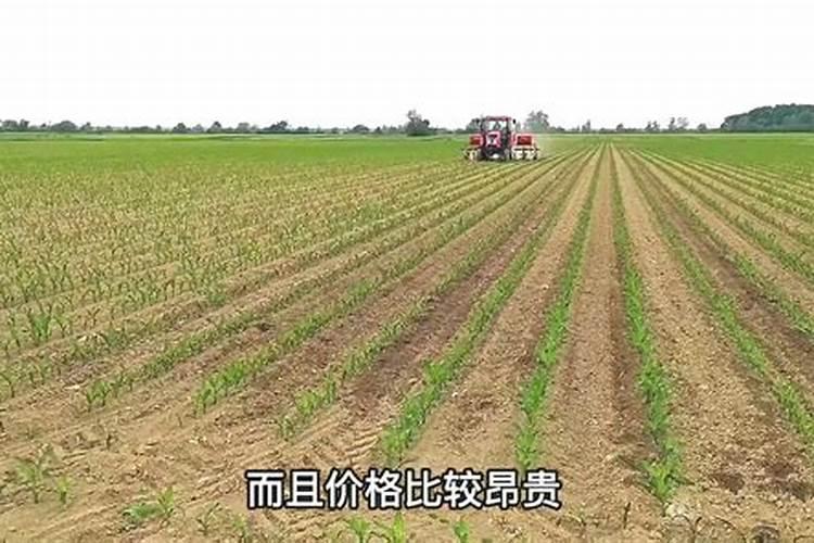 化学钾肥对庄稼什麽作用？