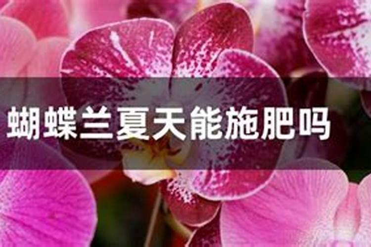 蝴蝶兰花应该怎样施肥？施营养液可以吗？花开过之后什么时候剪掉茎？从...
