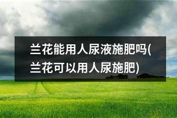 种菜用什么追肥长得快,尿素还是复合肥