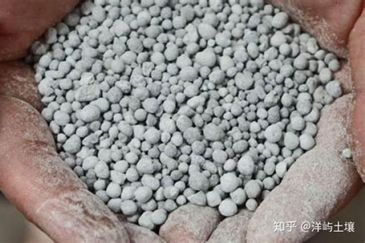 长茄墨茄的种植方法茄子什么时间种最好