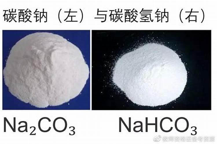 番茄浇什么肥料合适