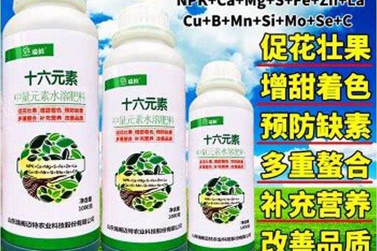 种植西瓜,主要步骤是什么？