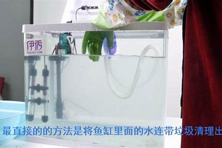 西瓜苗施加何种叶面肥较为理想