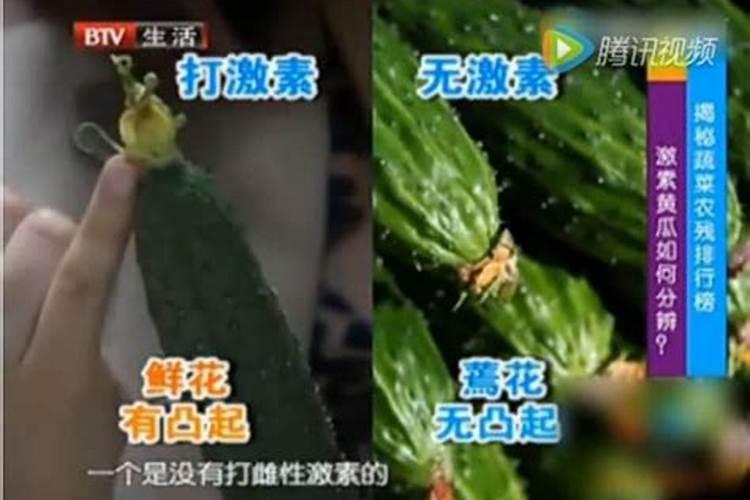 黄瓜药害咋防治